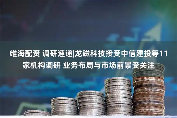 维海配资 调研速递|龙磁科技接受中信建投等11家机构调研 业务布局与市场前景受关注