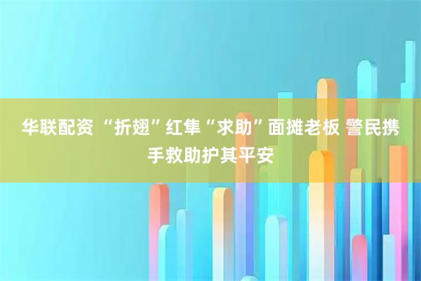 华联配资 “折翅”红隼“求助”面摊老板 警民携手救助护其平安