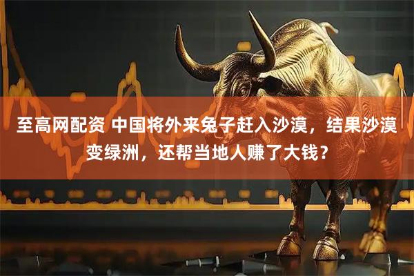 至高网配资 中国将外来兔子赶入沙漠，结果沙漠变绿洲，还帮当地人赚了大钱？