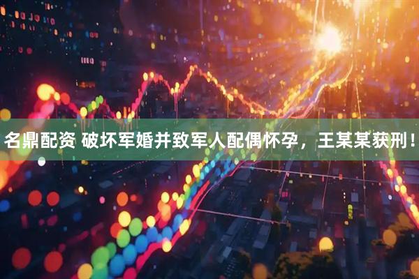 名鼎配资 破坏军婚并致军人配偶怀孕，王某某获刑！