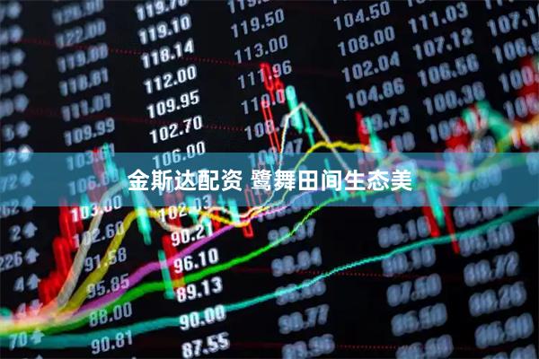 金斯达配资 鹭舞田间生态美